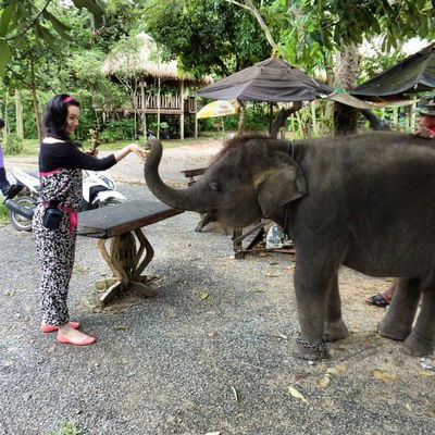 Наталия Бужилова