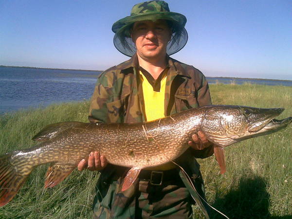 Юрий Антошкин