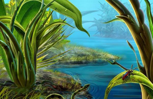 Марина Языкова