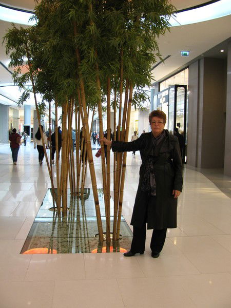 Евгения Голова