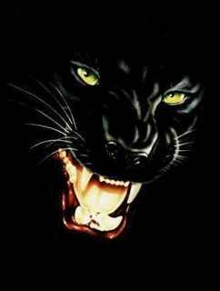 Валера Скубенко