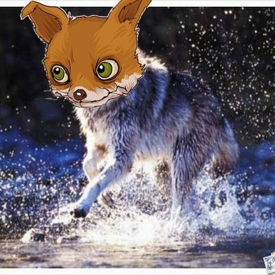 Дима Шехерев