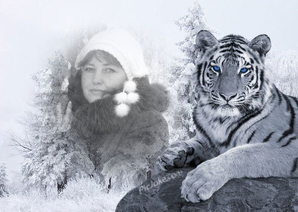 Татьяна Аккузина