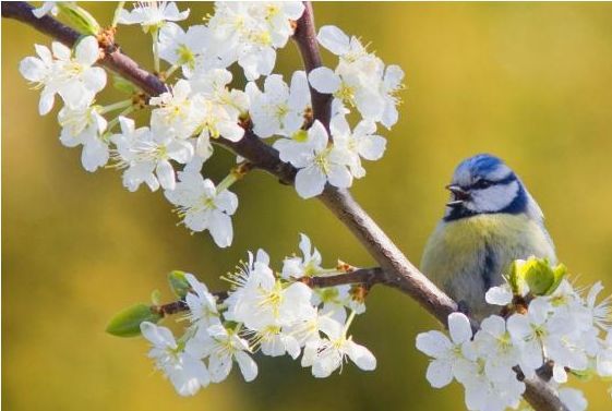 Людмила Носова