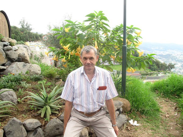 Василий Молоков