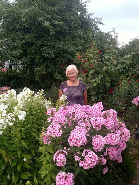 Любовь Гостева