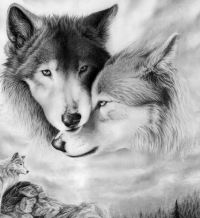 Алексей Сенатов