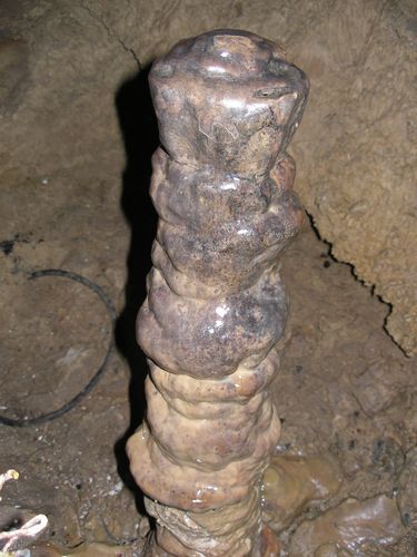 Сергей Щёголев