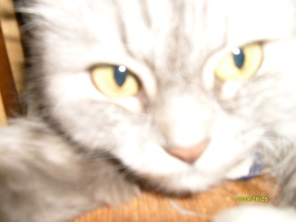 Юлия Матросова