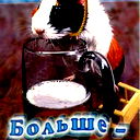 Ринат Ахметшин