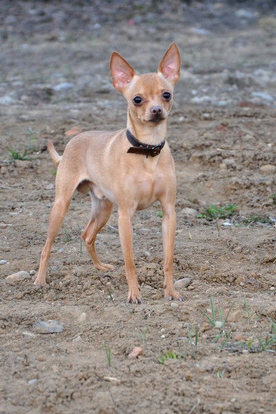 Марина Хакимова