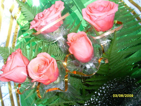 Лариса Белякова