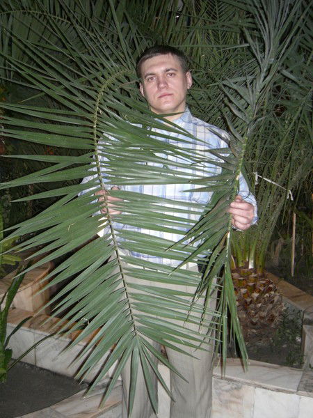 Александр Головков