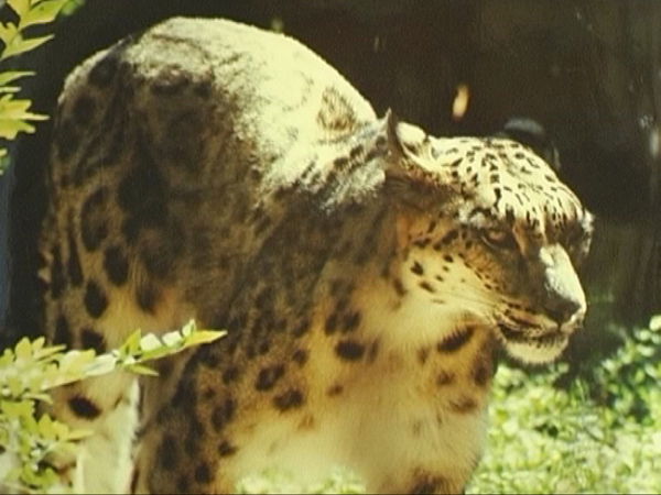 Николай Быкыбаев