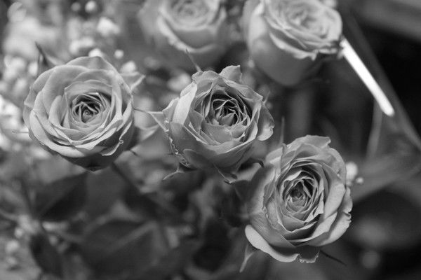 Ольга Шилкина