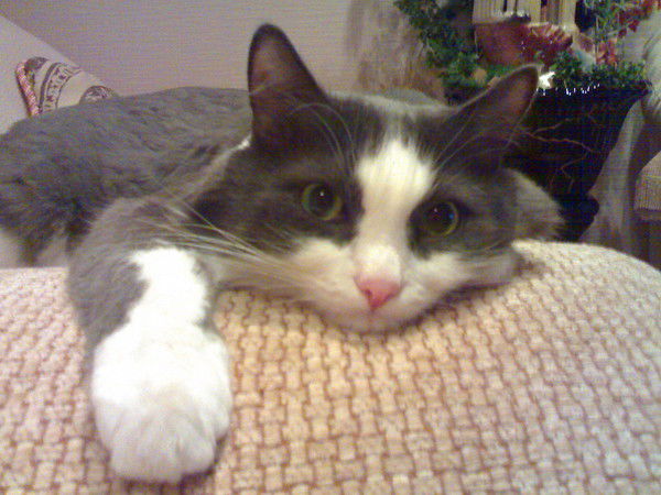 Владимир Паксялин