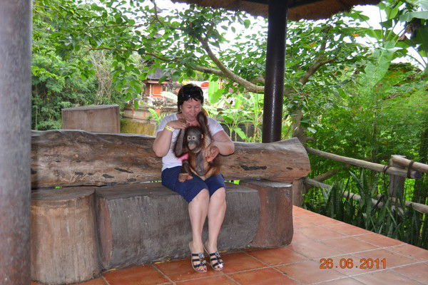 Роза Радовня