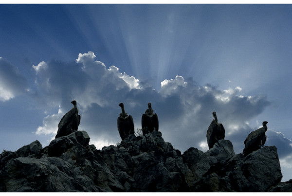 Александр Курганский