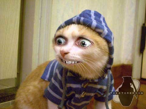 Ник И Ната Marin