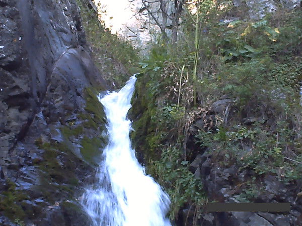 Арина Мусаева