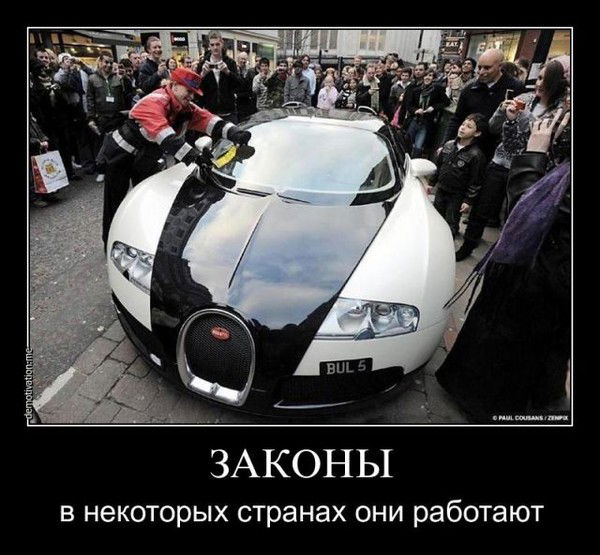 Костя Процанюк