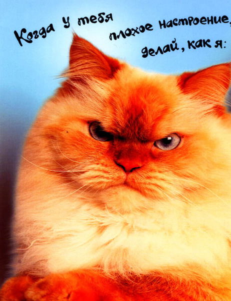 Роман Винар