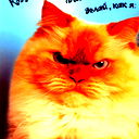 Роман Винар