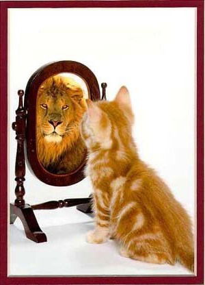 Татьяна Завадская