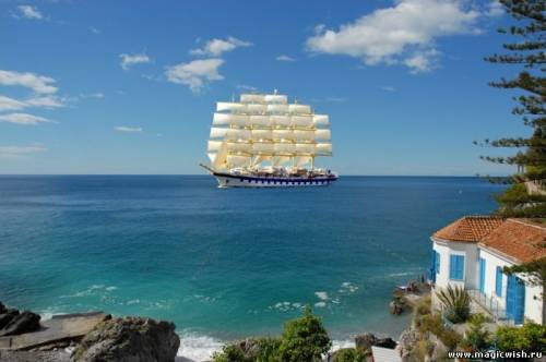 Елена Стародубцева