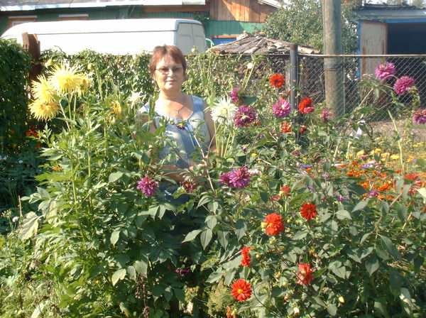 Света Мелкоян