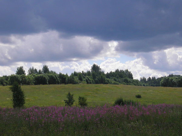 Елена Барбашина