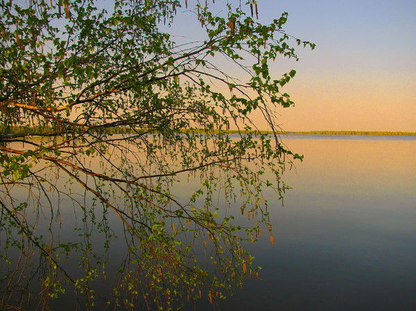 Роман Рябов