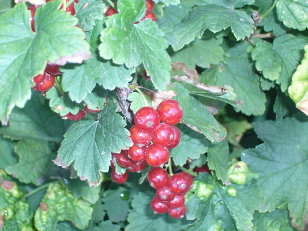 Юлия Попова