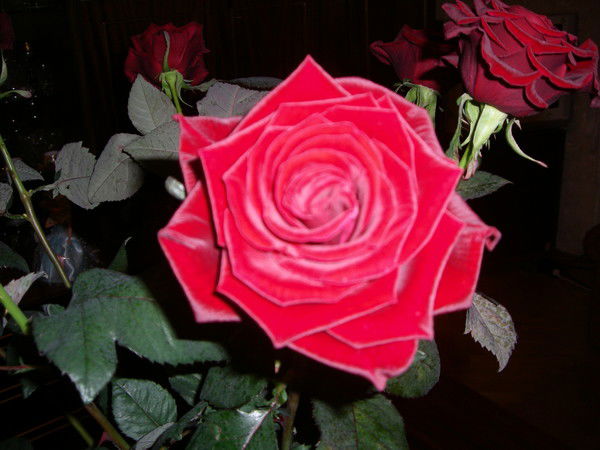 Тамара Иванова