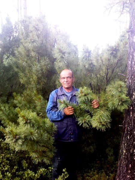 Анатолий Ткачев