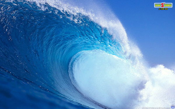 Светлана Кулинич