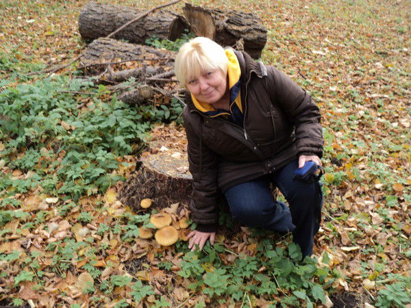 Светлана Страшинская