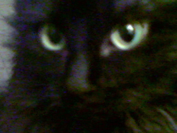 Ольга Волкова