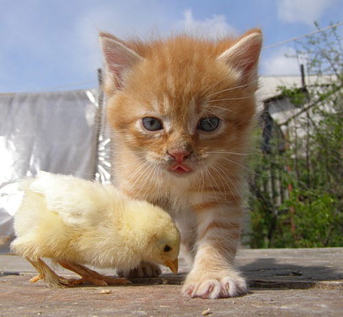 Борис Воробьев