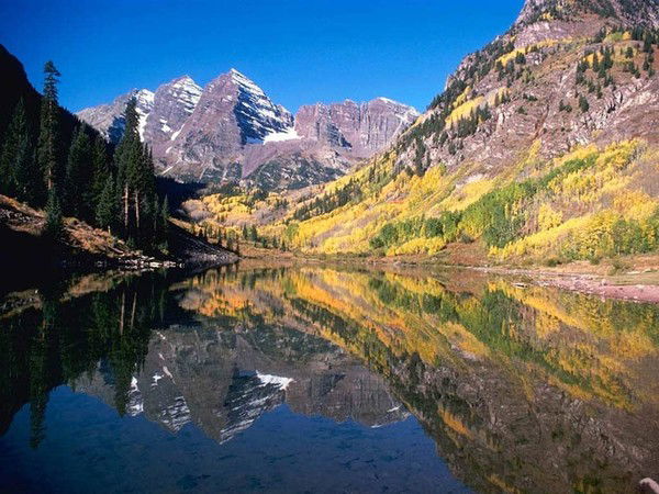 Алексей Решетняк