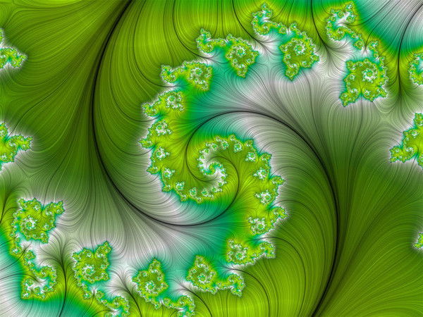 Наталья Федоровна Максимова