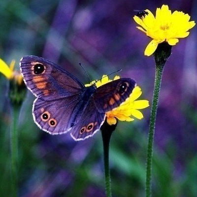 Дина Постникова