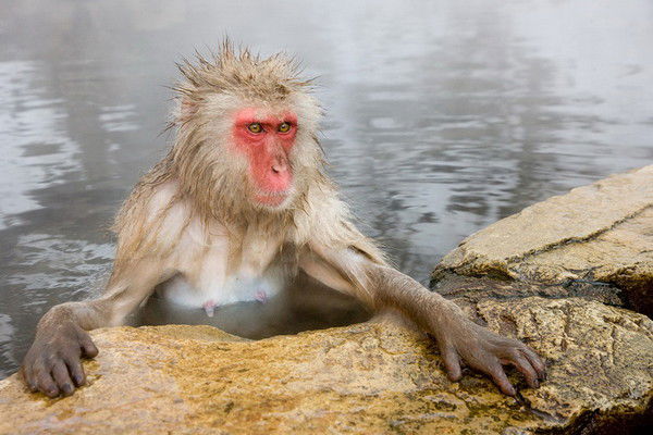 Антон Лаптев