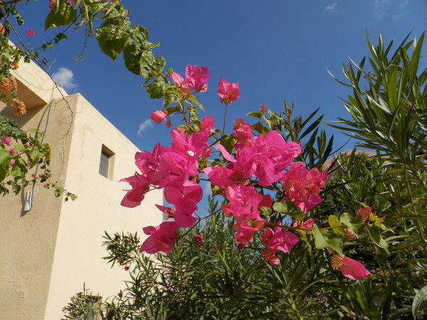 Евгения Бодунова