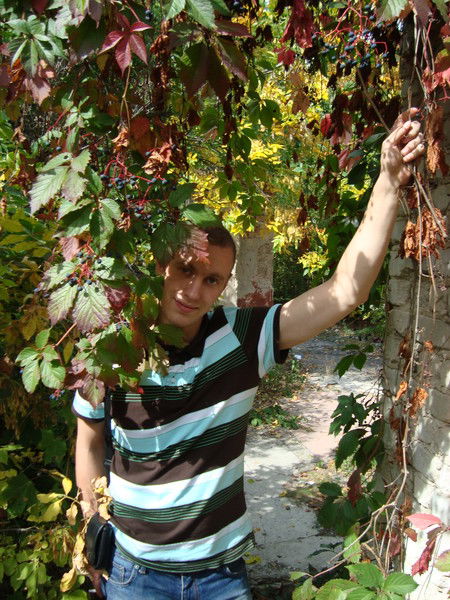 Андрей Седов