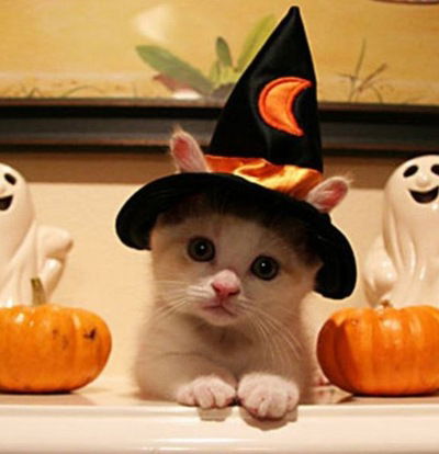 Марина Перепелова