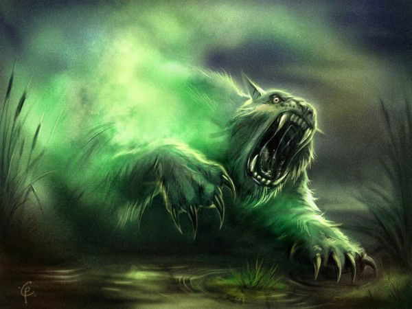 Антон Маркин