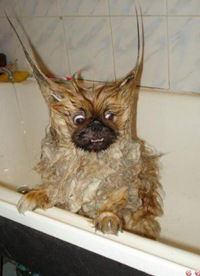 Значения Не-Имеет