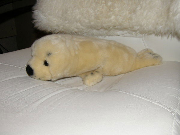 Светлана Номеровская