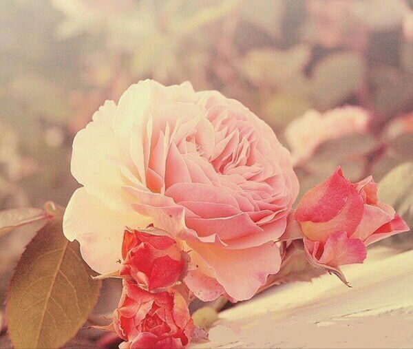 Гулзира Читанова